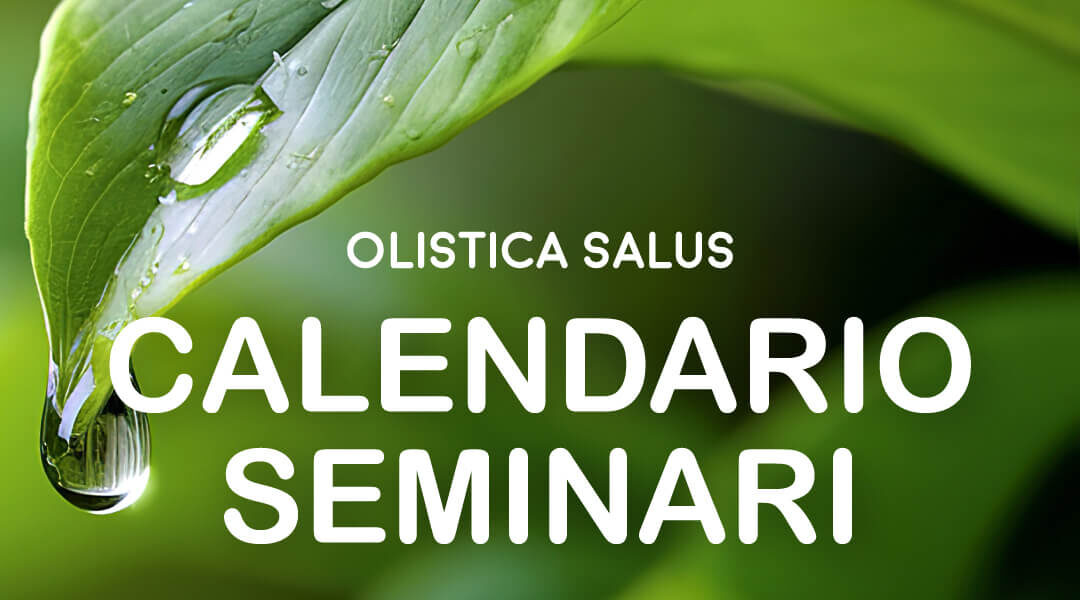 Calendario seminari