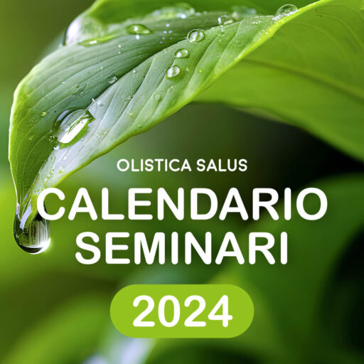 Calendario seminari